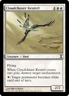 Cloud chaser Kestral